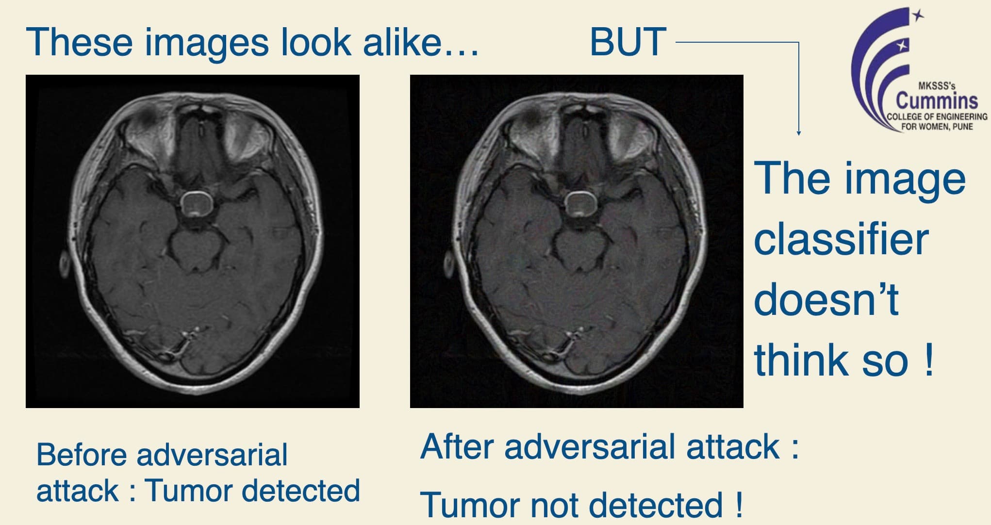 Cover Image for Defense Against PGD Adversarial Attacks